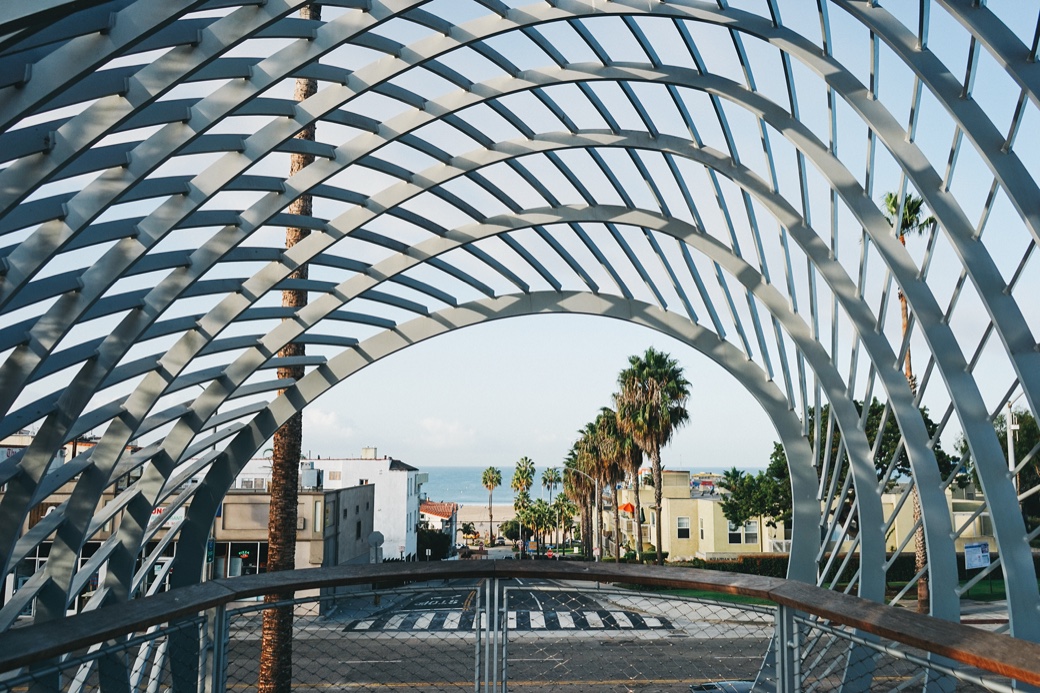 Palm tunnel